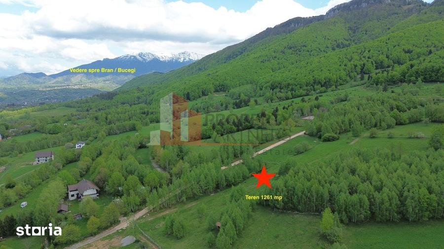 Teren de 5261 mp, în Tohănița