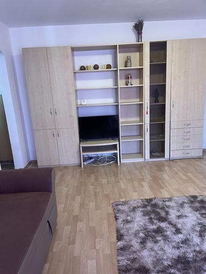 Apartament 2 canere Rovine - 1