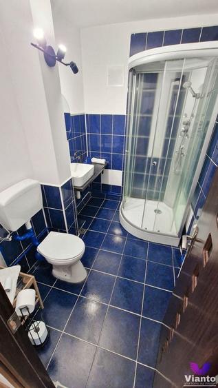 Apartament cu 3 camere decomandat, mobilat în Turnișor