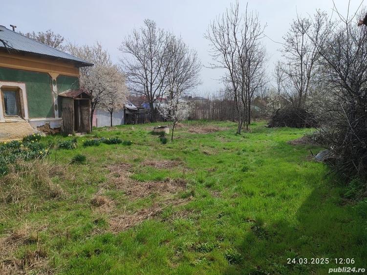 Casă cu 2 camere cu Teren 1500 Mp în Brânceni