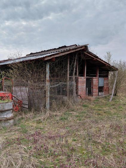 Teren Construcții intravilan de 4272 mp, în Bârsa