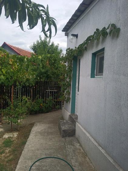 Casă cu 3 camere în Central