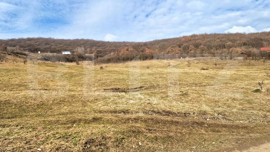 Teren Construcții intravilan de 4100 mp, în Florești