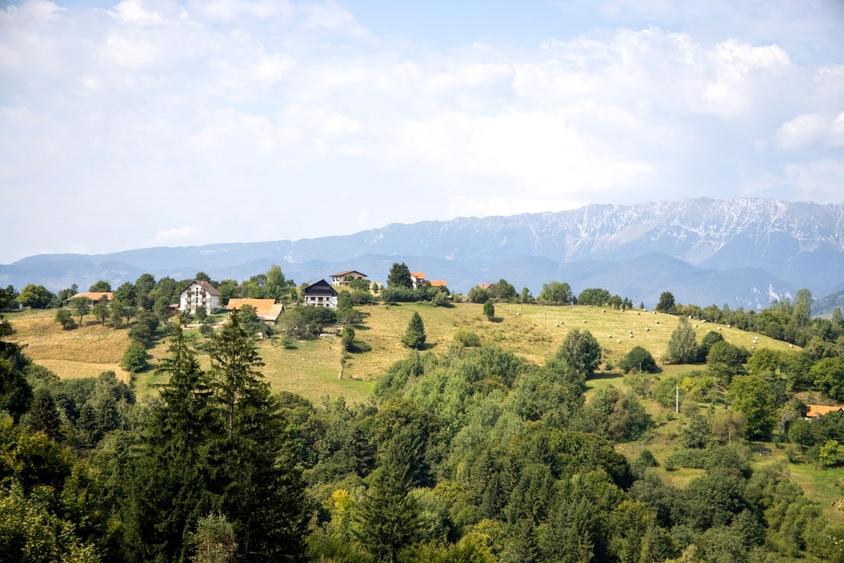 Teren Construcții extravilan de 10131 mp, în Bran