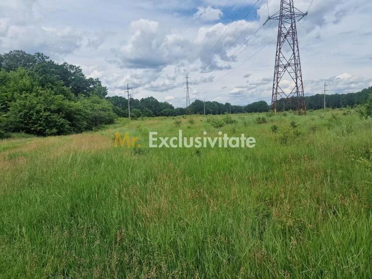 Teren de 12421 mp, în Big-Bascov