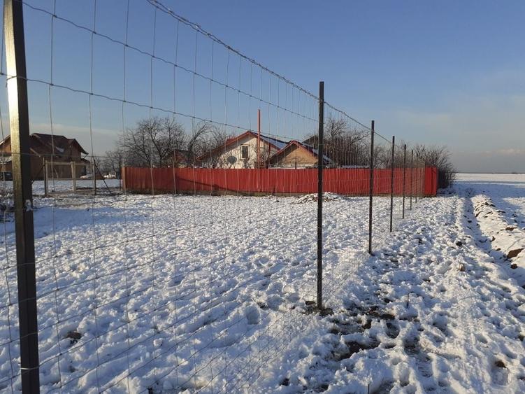 Teren intravilan 500 mp in Glina, Ilfov, langa Bucuresti - 3