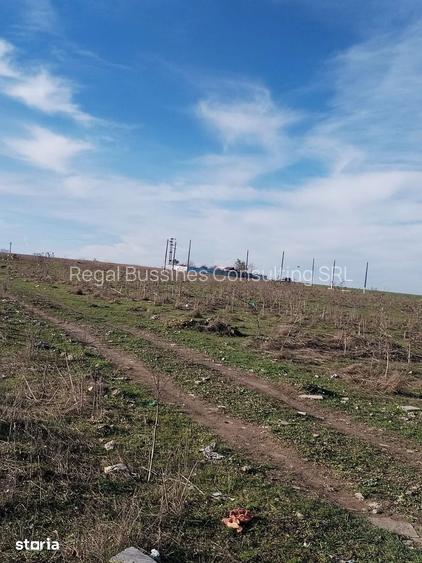 Techirghiol (cod04)-Teren 440 mp ideal investitie constructie casa
