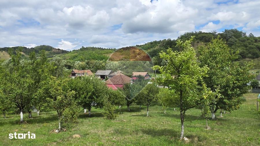 Casă cu 2 camere cu Teren 2800 Mp în Elciu