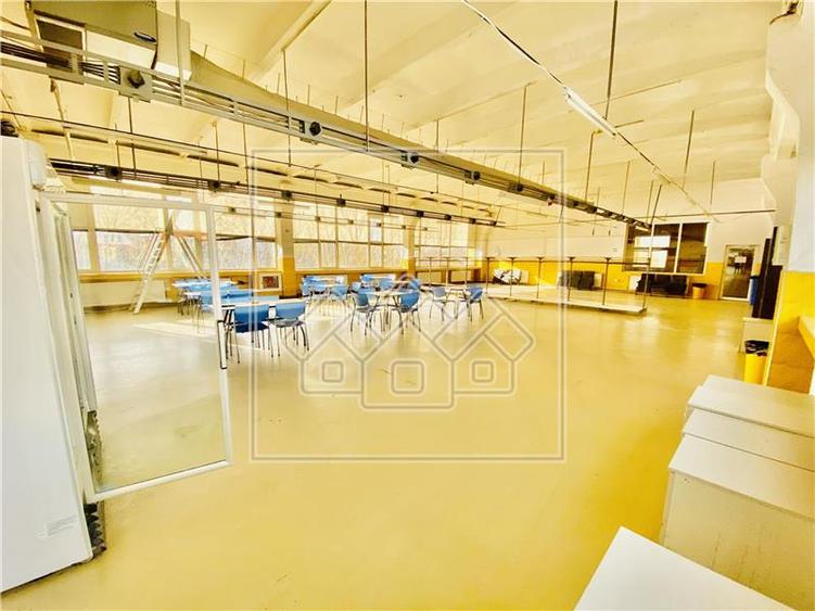 Spațiu industrial, de 1,200 mp, în Terezian