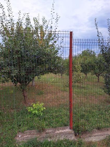 Teren de 650 mp, în Central
