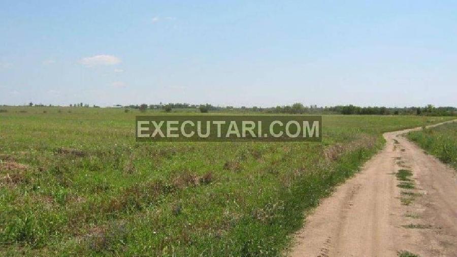 Teren agricol extravilan de 60000 mp, în Central