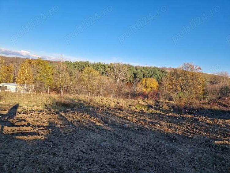 Teren de 1000 mp, în Cisnădioara