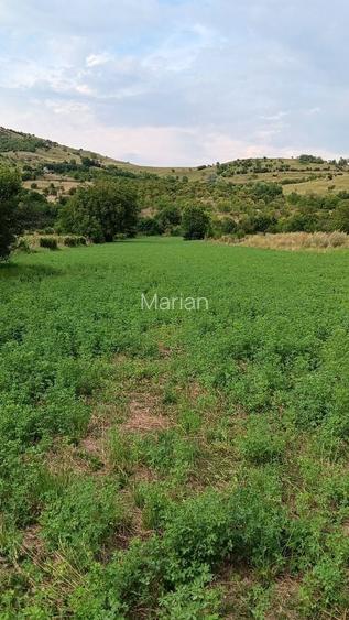 Vand Teren intravilan zona de munte Buzau Comuna Chiojdu