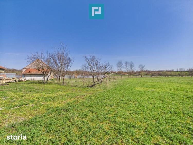 Casa cu teren de 6000 mp in Duboz, Timi? - 1