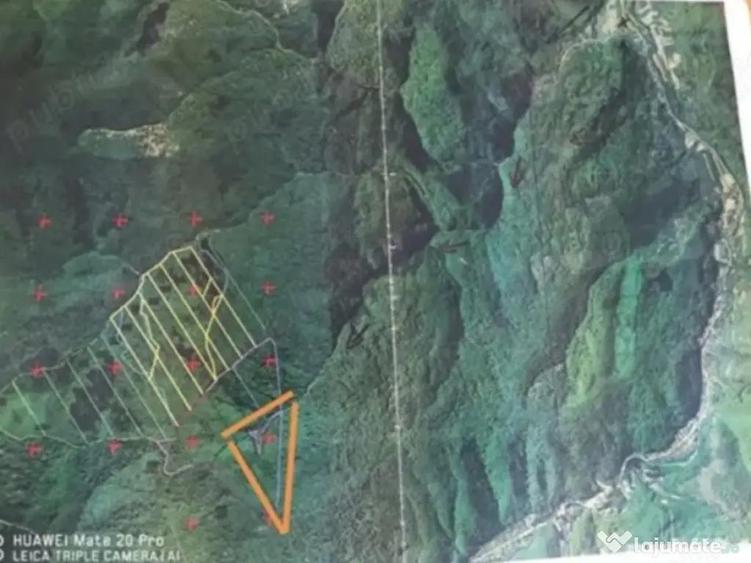 Teren de 80000 mp, în Moneasa