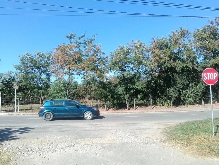 Teren de 1200 mp, în Păulești
