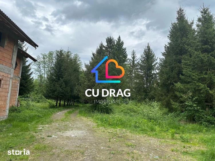 Casă cu Teren 12000 Mp în Avrig