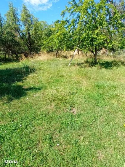 Teren de 2600 mp, în Domnești