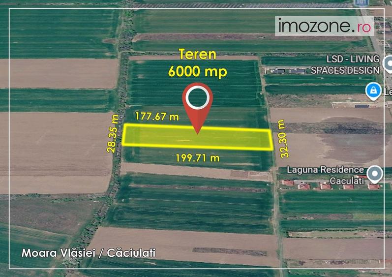 Teren Construcții intravilan de 6000 mp, în Căciulați
