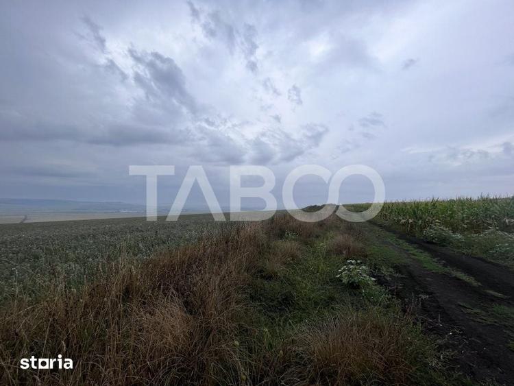 Teren de 30000 mp, în Șura Mică