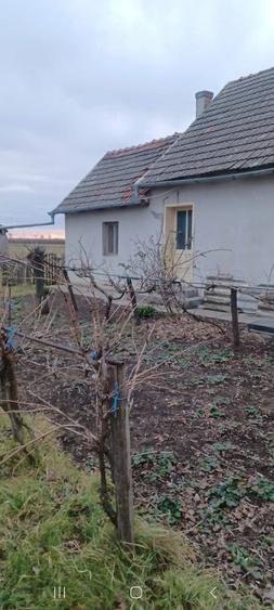 Casă cu 3 camere cu Teren 3000 Mp în Caporal Alexa