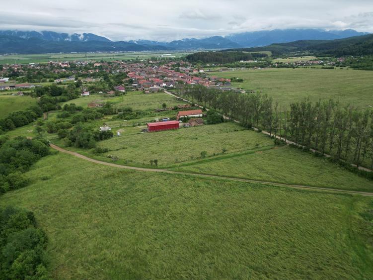 Teren extravilan de 3291 mp, în Vulcan