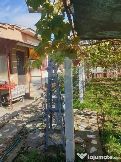 Casă cu 3 camere cu Teren 1000 Mp în Negoi