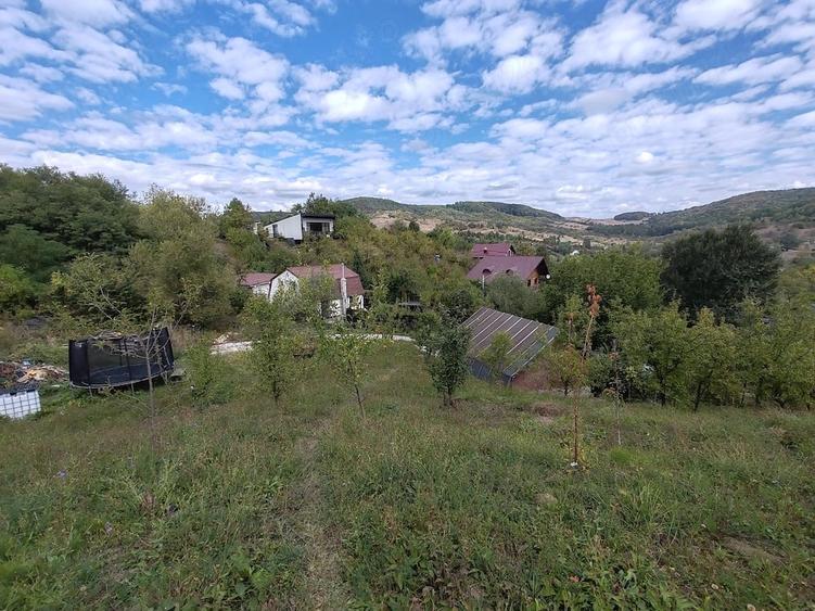 Teren de 5400 mp, în Drăgăneasa