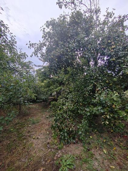 Casă individuală cu 2 camere cu Canalizare în Nord-Est