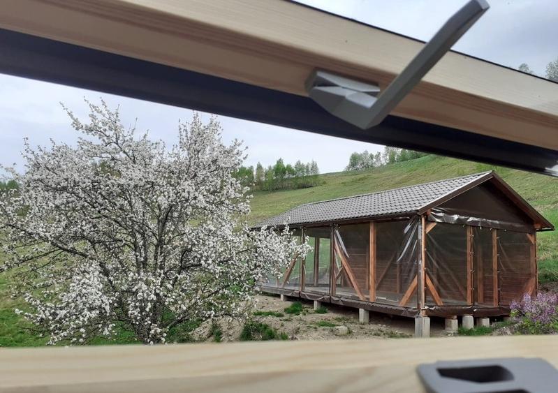 Casă individuală cu 4 camere cu Teren 8000 Mp în Plopi