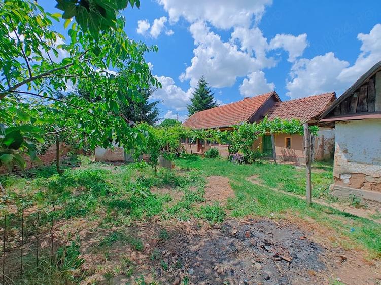 Casă cu 2 camere cu Teren 1175 Mp în Crestur
