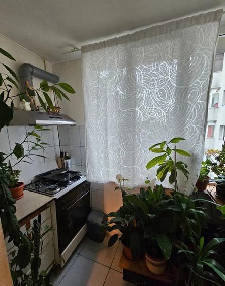 Apartament 2 camere / Baneasa/ Str Belizarie - 4