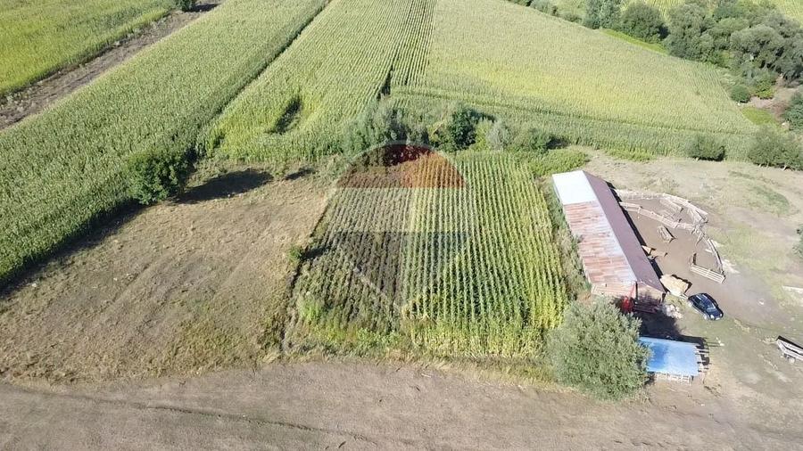 Teren agricol intravilan de 4400 mp, în Moara