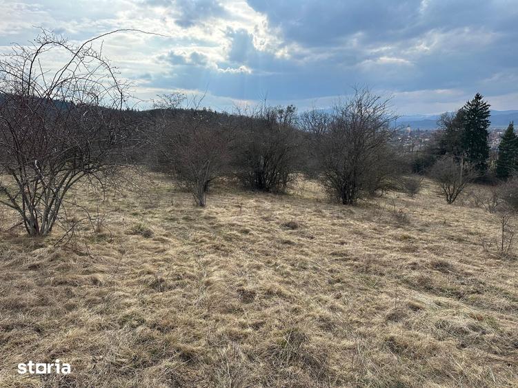 Teren de 6000 mp, în Cristian