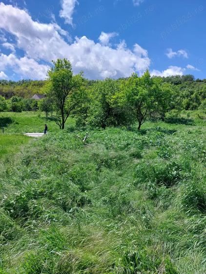 Teren de 2170 mp, în Morău