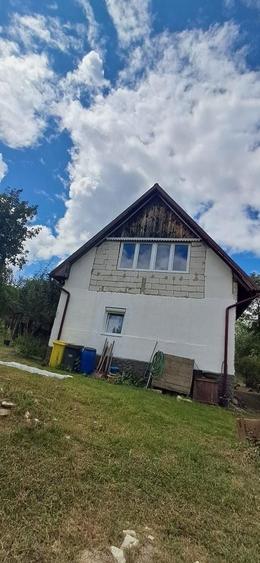 Casă cu 3 camere în Borșa