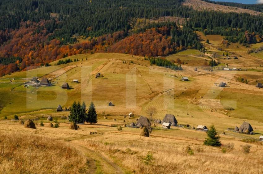 Teren de 125000 mp, în Ocoliș