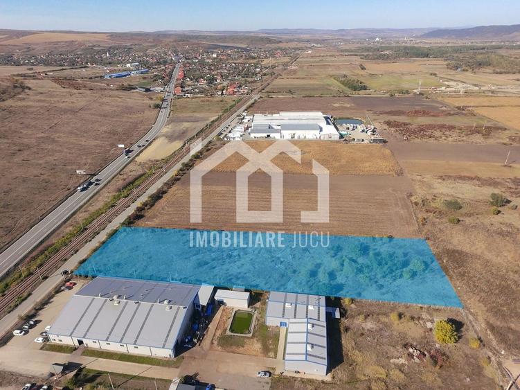 Teren Construcții intravilan de 10073 mp, în Răscruci