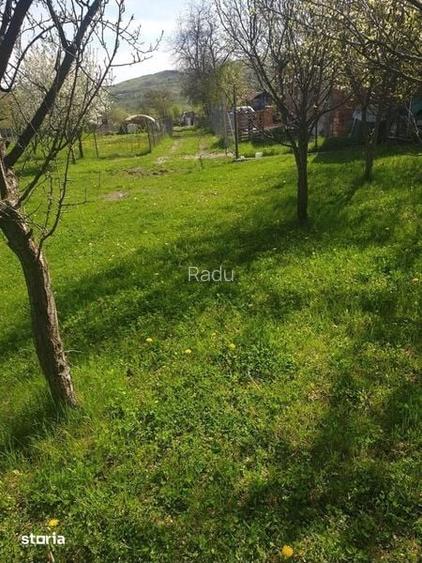 Vand teren intravilan ,750 metri patrati,Chiojdu