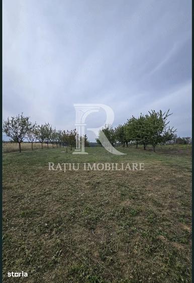 Teren de 1500 mp, în Sânmartin