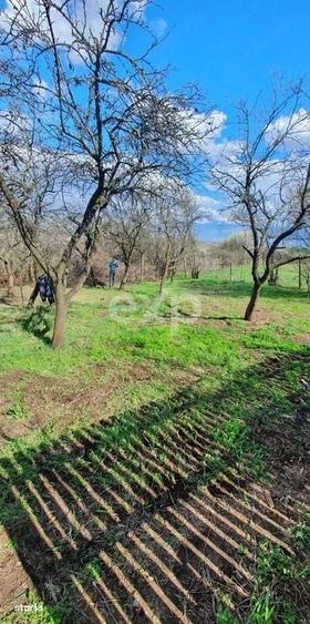 Casă cu 2 camere în Buzoești