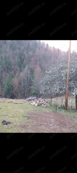 Vand ieftin 3 euro m teren , 4.000 m , Mun?ii Apuseni - 1