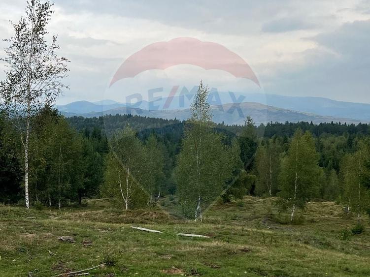 Teren agricol extravilan de 68607 mp, în Călățele