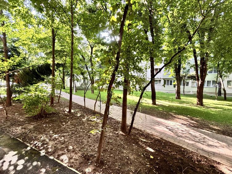 Apartament cu 3 camere semidecomandat în Pajura