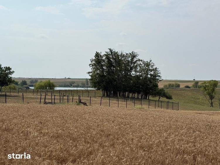 Teren intravilan Miersig, vedere la lac. 12,5 E/mp neg. Comision 0 - 8