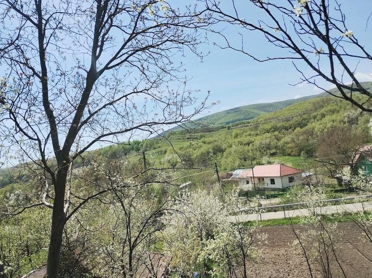 Teren de 1400 mp, în Gârbova