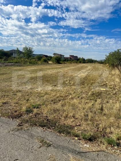 Teren de 5500 mp, în Central