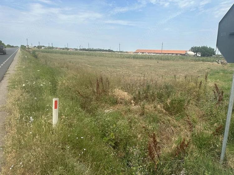 Vand teren intravilan Maldaeni 2000 m - 1