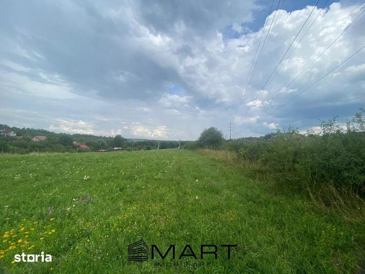 Teren de 8000 mp, în Roșia