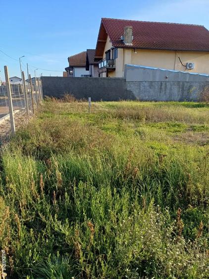 Teren de 1000 mp, în Schela